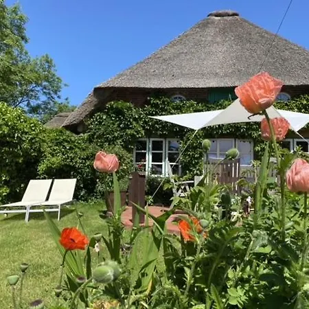 Friederikenhof Tatil Evi Böhl