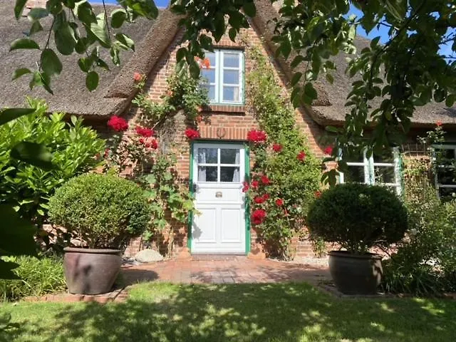 Friederikenhof Böhl